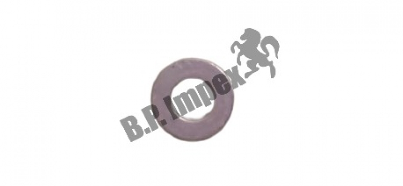  SEALING WASHER,252518179201